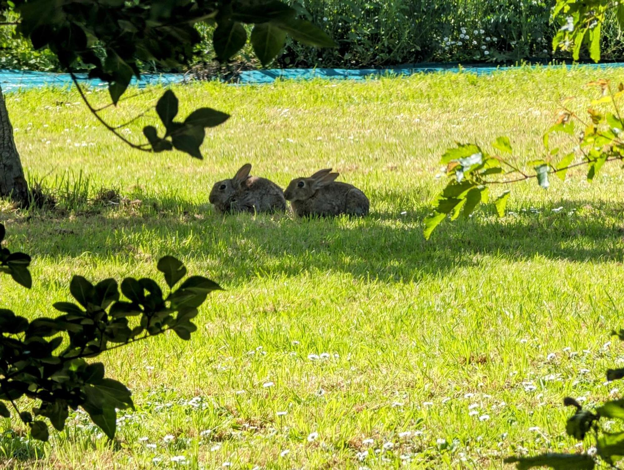 Saint-Riquier Le Relais Du Beffroi & Spa מראה חיצוני תמונה