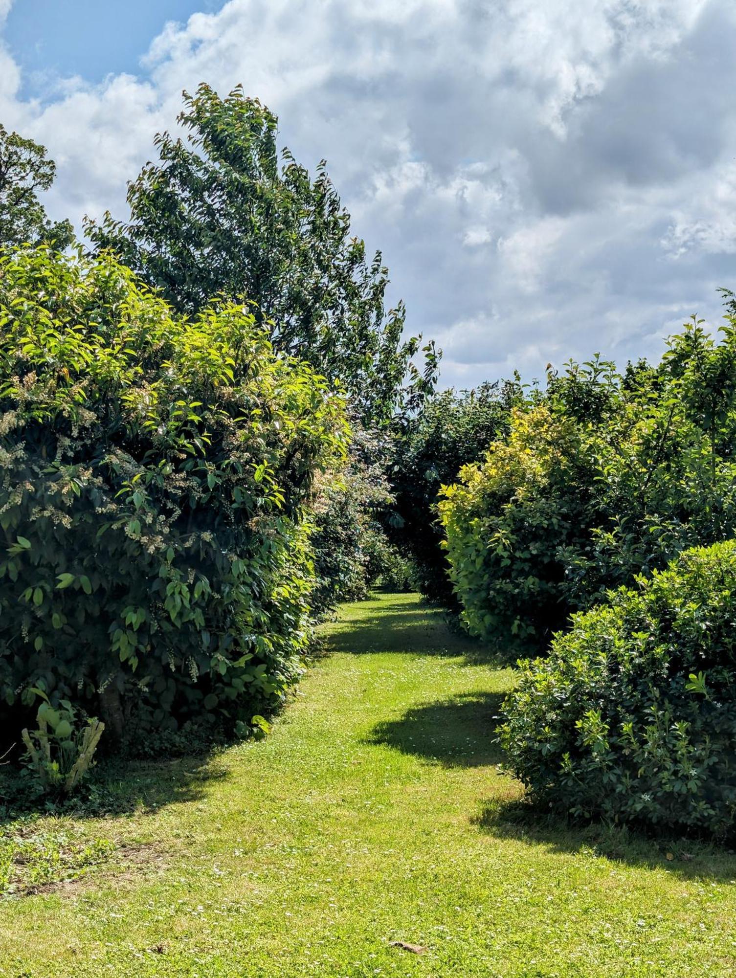 Saint-Riquier Le Relais Du Beffroi & Spa מראה חיצוני תמונה