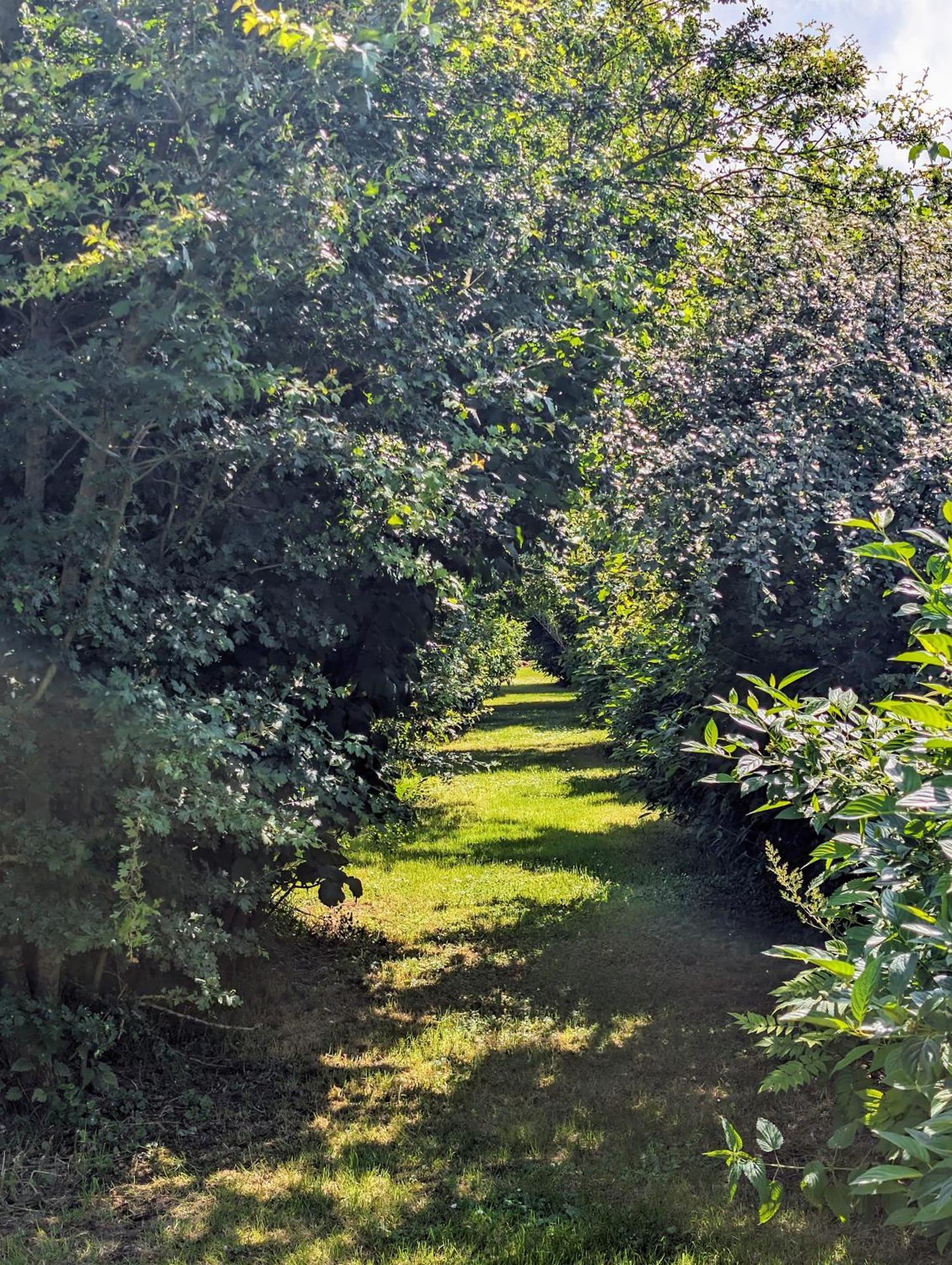 Saint-Riquier Le Relais Du Beffroi & Spa מראה חיצוני תמונה